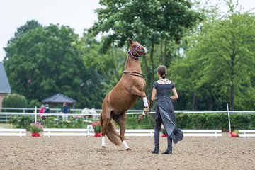 Bild 166 - Pony Akademie Turnier